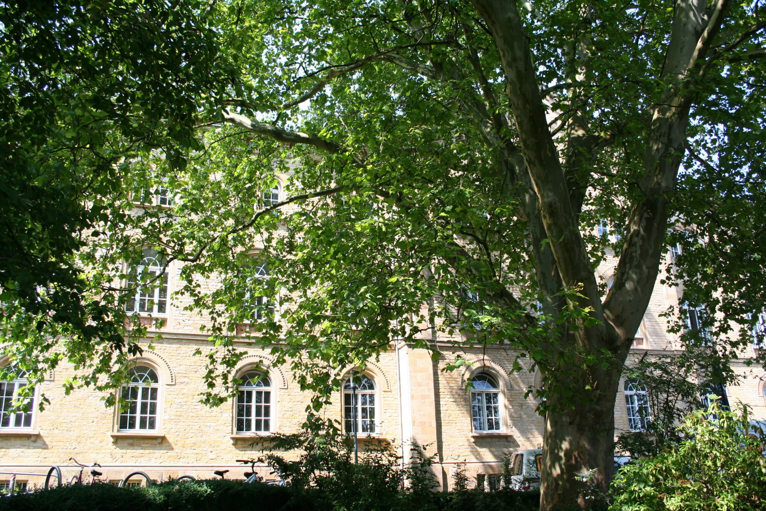 Bad Laer (Osnabrück Landkreis)